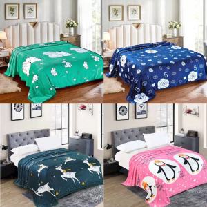 ผ้าห่มนาโน ผืนใหญ่ ขนาด 6 ฟุต ห่มได้2คน ขนาด180x200 ซม ผ้าห่ม เย็บขอบอย่างดี ผ้านุ่ม