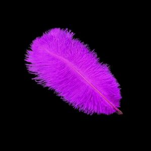 LYMEDIA 10Pcs 15-20cm Ostrich Feathers Stage Props Table Accessories Artificial Ostrich Feather Gifts Carnival Plumas Decor Ostrich Plumes Wedding Decoration