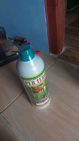 Buyer review video 3