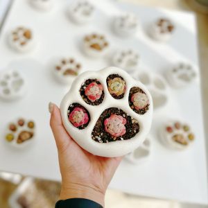 Handmade Flower Pot Lithops Succulent Plants Pot Cement Transparent Breathable Balcony Indoor Decoration Cute Cat Claw