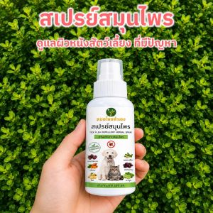 หมอไทยทำเอง สเปรย์สมุนไพรดูแลผิวหนังสัตว์เลี้ยง ที่มีปัญหา สำหรับสุนัข แมว ลดกลิ่นไม่พึงประสงค์ 100 ml.