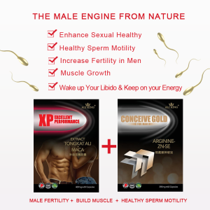 (Bundle 1+1) TONGKAT ALI Maca + Arginine - Support Energy & Sperm Count Build Muscle Increase Performance | 120 Veg Caps