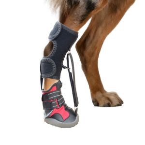 OUTOPEN With Reel Corrective Dog Shoes Breathable Strap-On No Knuckling Boot Brace Anti Dirty Lift Toes Dog Footwear Indoor