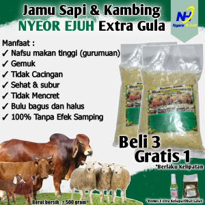 JAMU SAPI NYEOR EJUH EXTRA GULA PENGGEMUK SAPI PENGGEMUK KAMBING