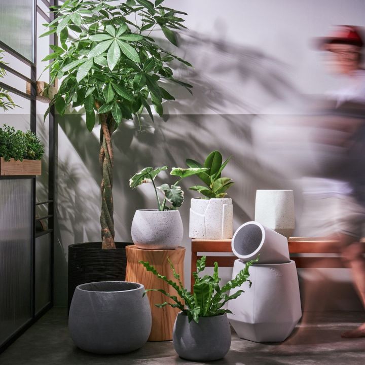 [NEW COLLECTION] Pylota Outdoor Large Concrete Flower Pot Big Planter