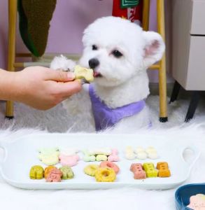 100g Delicious Pet Biscuit Dog Treat Dog Snack Dog Biscuit Dog Pet Treat