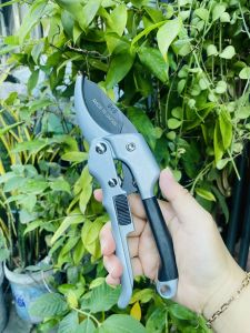 Kéo cộng lực cắt cành kéo tỉa cây mỏ cong màu bạc đen rất sắc bén có khóa an toàn - Dụng cụ chăm sóc bonsai