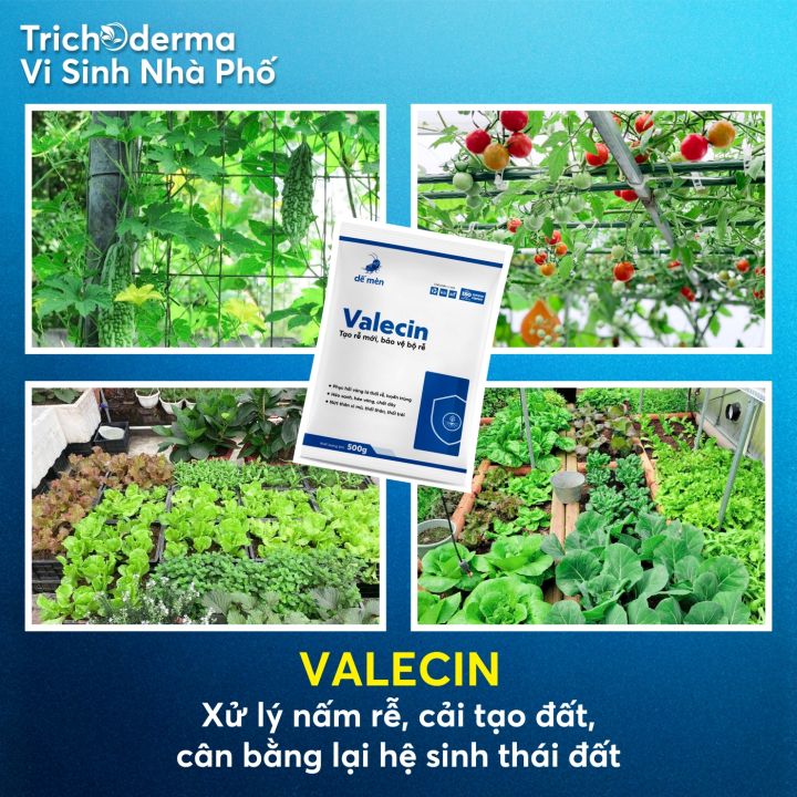 Ch%E1%BA%BF%20ph%E1%BA%A9m%20vi%20sinh%20Nematop%20D%E1%BA%BF%20M%C3%A8n%20-%20Gi%E1%BA%A3i%20ph%C3%A1p%20qu%E1%BA%A3n%20l%C3%BD%20tuy%E1%BA%BFn%20tr%C3%B9ng%20r%E1%BB%85%20500g%20-%20Image%203