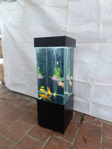 Bể cá bể thuỷ sinh kiểu dáng hiện đại 105x35x35 kính 7 ly xiết vi tính