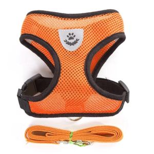 Rabbit leash with harness rabbit leash adjustable