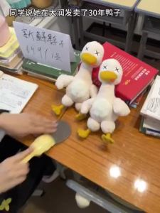 Magnetic Detachable Duck Plush Set Soft Stuffed Animal Toy Funny Pretend Play Chef Role Kit Easter Gift for Kids