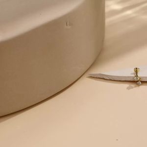 Aide 1pc 925 Sterling SilverZircon Thick Flat Screw Back Drop Earrings For Women K Gold Piercing Stud Earrings Jewelry