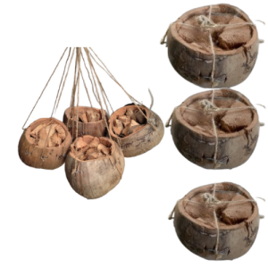 Husk Organic Garden Pot Lokal Sustainable Pot Plants 1pc - Natural Coconut Shell Design - Hanging and Standalone Use - Ideal for Small Plants and Herbs - Eco-Friendly Gardening Solution