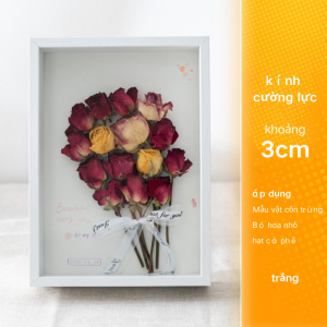 Khung Hộp 3D Sâu 3/5cm Khung Tiêu Bản Trưng Bày Đồ Vật Trang Trí Treo Tường-HAUSE