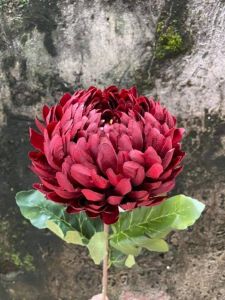 Cúc Phú Quý Đại Đoá cao cấp trang trí Decor- Hoa Giả Cao Cấp