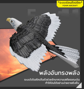RC เครื่องบิน Wingspan Eagle เครื่องบิน Fighter 2.4G วิทยุควบคุมรีโมทคอนโทรล เครื่องร่อนเครื่องบินโฟมของเล่นเด็กสําหรับเด็ก