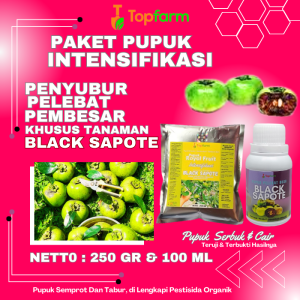 Pupuk Buah Black Sapote / Pupuk Penyubur Pohon Black Sapote / Pupuk Pembesar Buah Black Sapote Jumbo / Pupuk Booster Buah Black Sapote Terbagus