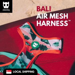 Zee.Dog | Air Mesh Harness | Bali | L