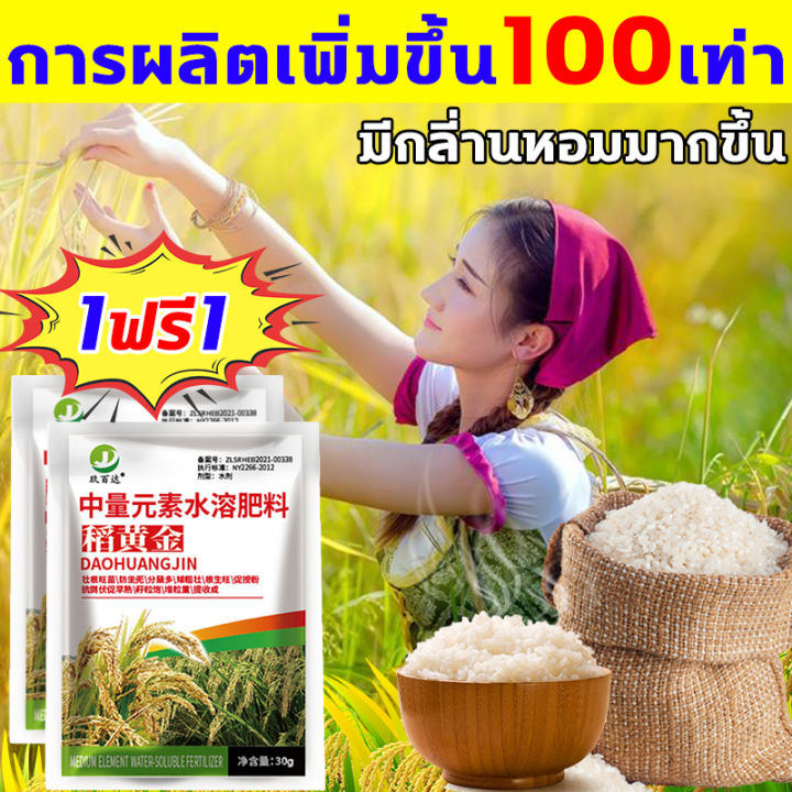 ฮอร์โมนพืชข้าว ผลผลิตข้าว10เท่า เร่งสุก เมล็ดเต็ม มีกลิ่นหอม