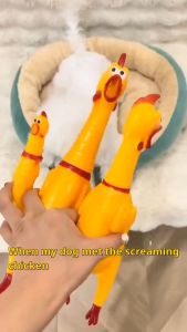 Pet toys dog toys cat toys screaming chicken toy with sound interesting molar toys clean teeth COD