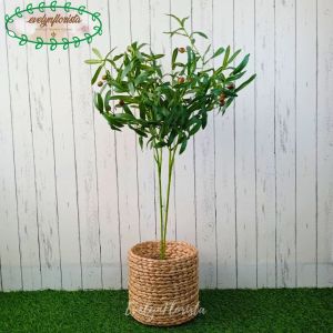 Pohon Imitasi Zaitun Tangkai X4 Cover Eceng Gondok Dekorasi Caffe