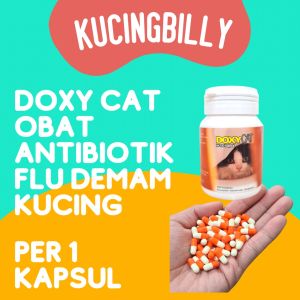 DOXY CAT obat antibiotik flu demam batuk kucing doxycat