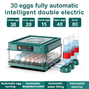 220V/12V DUAL POWER 12/24/36/48/68/130 Green Eggs Fully Automatic Digital Incubator Chicken Poultry Hatcher Temperature Control egg tray Incubator egg incubator Duck Goose Quail Birds Brooder Digital Humidity Temperature Control Hatching machine incubator