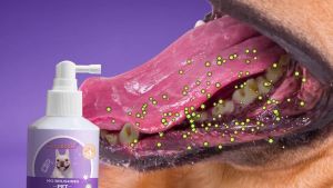 PET Pet Oral Care Spray Dog Gingivitis Treatment Fight Bad Breath Caused by Plaque and Gum Redness 150ml