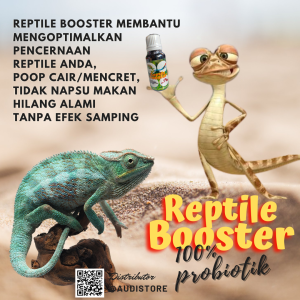 Reptile Booster Vitamin Obat Repti (menambah kekebalan tubuh)
