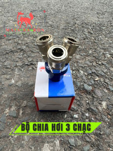 BỘ CHIA HƠI MÁY NÉN KHÍ 2 CHẠC VÀ 3 CHẠC