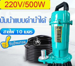 220V/450W ปั๊มจุ่มไฟฟ้าปั๊มจุ่มโคลนปั๊มดูด 450W สายไฟ 10M มอเตอร์ทองแดงบริสุทธิ์ที่มีเสถียรภาพประสิทธิภาพการไหลขนาดใหญ่และพลังที่แข็งแกร่งปั๊มน้ำเพื่อการชลประทาน