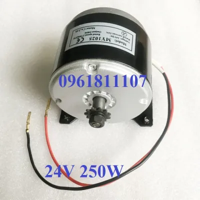Motor 12V 300Wmotor 24v 250w chế thuyền chế xe động cơ 12v 300w động cơ 24v 250w