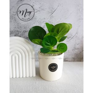 Cây giả Viên Diệp Tiêu Thảo để bàn trang trí