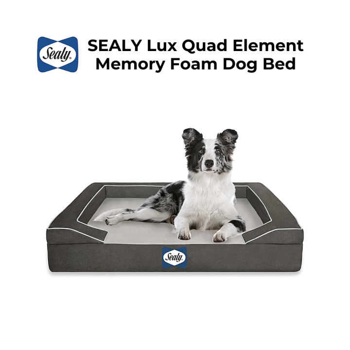 Sealy Lux Hundebett Groß – Mit Memory-Schaum & Kühlendem Gel, Orthopädisch, Waschbarer Bezug