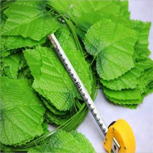 Daun Rambat Plastik Jumbo Besar Dekorasi Hiasan Dinding 2 meter Anggur Semangka