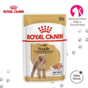 Royal Canin Poodle Adult 85g Wet Dog Food Loaf | For Dogs Over 10 Months | Supports Woolly Coat Health Muscle Tone & Fussy Appetite Stimulation | Authentic Royal Canin Breed Health Nutrition[New Arrival]