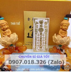 [SẴN HÀNG] Túi thái tuế may mắn giảm vận hạn 2025 - Hóa giải phạm thái tuế