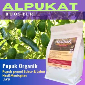 Pupuk Pelebat Buah Alpukat Organik: Booster Cepat Berbuah Lebat Tidak Rontok & Penyubur Tanaman