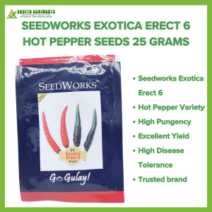 ARNETH SEEDWORKS EXOTICA ERECT 6 HOT PEPPER SEEDS 25 GRAMS