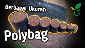 1 Polybag Tanaman Aneka Ukuran Kecil sampai besar Bahan Tebal 10x12 12x12 10x15 15x15 15x20 20x25 20x30 25x25 25x30 30x30 30x35 35x35 35x40 40x40 40x45 45x45 50x45 50x50 55x55 50x55