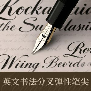 PLLEWY Metal Calligraphy Pen Nib Threaded Feed Section Flexible Tip Elastic Replacement Nib  Black Plated Flex Fountain Pen Nib Calligraphy Practice