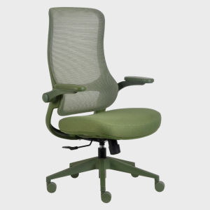[Pre-order] TakeAseat Aurix Office Chair ★ Home Office Chair ★ 5 Colour Available ★ Flip Up Armrests ★ Easy Self Setup ★ Ship After 20 July