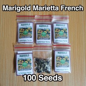Marigold SEEDS - Sparky French marigold | Naughty Marietta French Marigold Seeds | African Giant Marigold Seeds | African Marigold Flower seeds