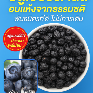 ผลไม้แห้งเกรดพรีเมียม สดสะอาด ไม่เติมสาร เพิ่มคุณภาพ คัดสรรพิเศษ