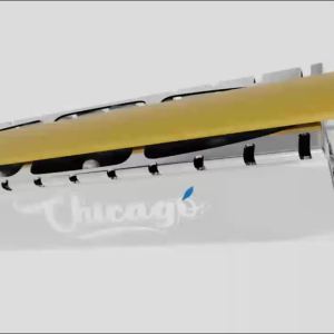 JDR Harmonica Chicago Diatonic Armonica 10-Hole 20 Tones Blues Harp C Key Professional Mouth Organ Musical Instruments Beginners2026