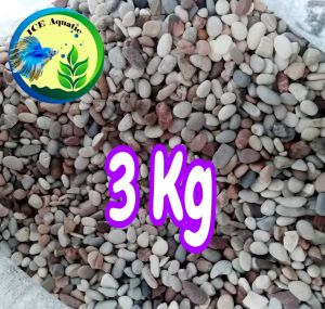 BATU HIAS PANCAWARNA 3 KG BATU AQUARIUM DAN TAMAN