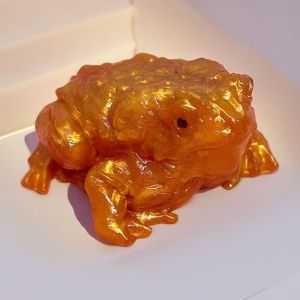 LLCY Toad Frog Squeeze Sticky Stress-relief Frog SimulationToy Funny Soft Squeeze Toy Tricky Toys