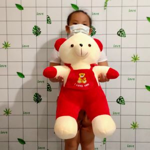 (TẶNG GẤU BÔNG COCA) GẤU BÔNG TEDDY DỄ THƯƠNG MẶC ÁO