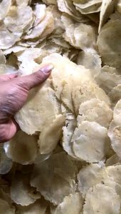 EMPING MELINJO UKURAN LB/SEDANG ASLI KHAS LIMPUNG 500G KWALITAS SUPER