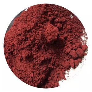 Bột Màu Nhuộm Hoa Tươi giúp hoa nhuộm đổi màu và an toàn phối màu tùy thích(TÚI 10G)